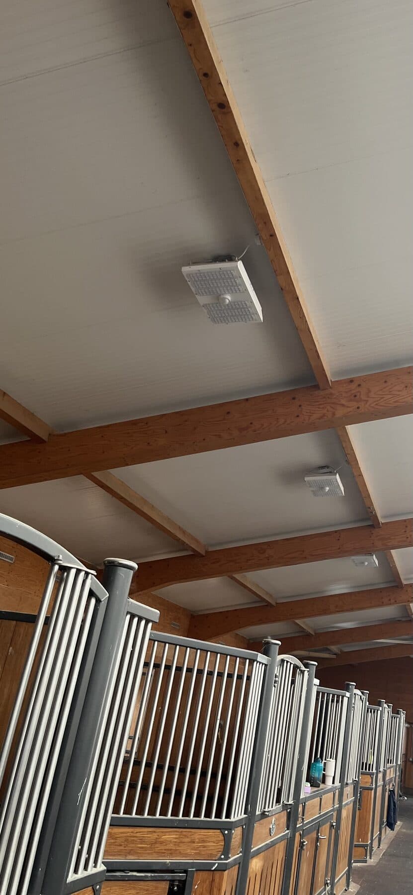 Stable block with LED bulkhead lights fitted between the timber roof beams above the stalls